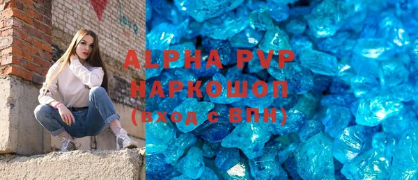 стафф Бородино