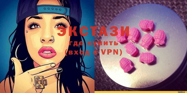 ECSTASY Богородицк