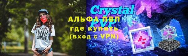 стафф Бородино