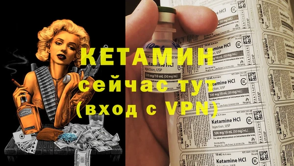 стафф Бородино